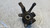 DR DR1 (2010) ASSALE FUSELLO RUOTA ANT. DX. USATO Da 2010 A 2014 [[281280]]