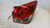 CHEVROLET CRUZE (2009) FANALERIA FANALE EST. POST. DX. USATO Da 2010 in poi [[281595]]