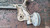 CITROEN C1 «II» (2014) ASSALE ASSALE POST. USATO Da 2014 A 2018 [[281586]]
