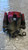 OPEL ASTRA «H» (2005) IMPIANTO FRENANTE PINZA FRENO POST. DX. USATO Da 2004 A 2009 [[281906]]
