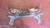 SUZUKI SPLASH (2008) ASSALE ASSALE ANT. USATO Da 2011 A 2012 [[282033]]