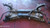 SUZUKI SPLASH (2008) ASSALE ASSALE ANT. USATO Da 2011 A 2012 [[282033]]