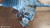 SUZUKI SPLASH (2008) STERZO SCATOLA STERZO C/SERVOSTERZO USATO Da 2011 A 2012 [[282199]]