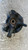 SUZUKI SPLASH (2008) ASSALE FUSELLO RUOTA ANT. SX. USATO Da 2011 A 2012 [[282185]]