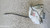FIAT SEDICI (2006) LAMIERATI ESTERNI SERRATURA PORTA ANT. SX. USATO Da 2009 A 2014 [[282254]]
