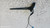 ALFA ROMEO GIULIETTA (2010) LAMIERATI ESTERNI ANTENNA RADIO USATO Da 2010 A 2013 [[282445]]
