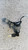 ALFA ROMEO GIULIETTA (2010) STERZO BLOCCASTERZO USATO Da 2010 A 2013 [[282457]]
