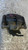 FIAT SEDICI (2006) IMPIANTO FRENANTE PINZA FRENO ANT. DX. USATO Da 2005 A 2009 [[282577]]