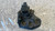 FIAT SEDICI (2006) MOTORE SUPPORTO GOMMA MOTORE DX. USATO Da 2005 A 2009 [[282579]]