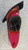 PEUGEOT 206 + (2009) FANALERIA FANALE POST. DX. USATO Da 2009 A 2013 [[282809]]
