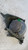 FORD FIESTA «V» (2002) FANALERIA PROIETTORE ANT. DX. USATO Da 2002 A 2008 [[282827]]