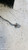FORD FIESTA «V» (2002) CRISTALLI RETROVISORE ESTERNO ANT. SX. USATO Da 2002 A 2008 [[282828]]