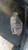 FIAT STILO (2002) FANALERIA PROIETTORE ANT. SX. USATO Da 2004 A 2008 [[282831]]