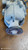 FIAT SEDICI (2006) CAMBIO E TRASMISSIONE DIFFERENZIALE POST. USATO Da 2009 A 2014 [[282837]]