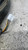 CHEVROLET SPARK (2010) FANALERIA FANALE POST. DX. USATO Da 2010 A 2013 [[282849]]