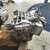 VOLKSWAGEN GOLF «V» (2004) CAMBIO E TRASMISSIONE DIFFERENZIALE POST. USATO Da 2004 A 2008 [[283054]]