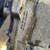 VOLKSWAGEN GOLF «V» (2004) CAMBIO E TRASMISSIONE DIFFERENZIALE POST. USATO Da 2004 A 2008 [[283054]]