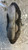 ALFA ROMEO 159 SPORTWAGON (2006) IMPIANTO FRENANTE PINZA FRENO ANT. SX. USATO Da 2009 A 2011 [[283043]]