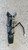 FIAT DUCATO «244» (2002) STERZO CILINDRETTO / COMMUTATORE ACCENSIONE USATO Da 2001 A 2006 [[283094]]