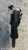 FIAT 500 «II» (2008) STERZO BLOCCASTERZO USATO Da 2007 A 2012 [[283453]]