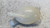 RENAULT CAPTUR «I» (2013) TERMICO VASCHETTA ACQUA USATO Da 2014 A 2017 [[283532]]