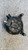 FORD FOCUS «III» (2008) IMPIANTO ELETTRICO ALTERNATORE USATO Da 2008 A 2011 [[283549]]