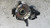 RENAULT CAPTUR «I» (2013) ASSALE FUSELLO RUOTA ANT. SX. USATO Da 2014 A 2017 [[283592]]