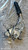 OPEL ASTRA «H» (2005) ALLESTIMENTI INTERNI LEVA FRENO A MANO POST. USATO Da 2004 A 2009 [[283630]]