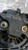 FORD TRANSIT «IV» (2000) IMPIANTO ELETTRICO ALTERNATORE (REVISIONATO) USATO Da 2000 A 2001 [[283655]]