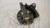 FIAT PUNTO EVO (2010) TERMICO MOTORINO VENTILAZIONE ABITACOLO USATO Da 2009 A 2011 [[283716]]