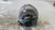 JEEP PATRIOT (2007) IMPIANTO ELETTRICO ALTERNATORE USATO Da 2006 A 2010 [[283942]]