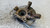 JEEP PATRIOT (2007) ASSALE FUSELLO RUOTA ANT. SX. USATO Da 2006 A 2010 [[283950]]