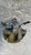 CITROEN C3 «III» (2016) IMPIANTO FRENANTE PINZA FRENO POST. DX. USATO Da 2018 A 2020 [[284207]]