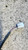 DAIHATSU TERIOS «I» (1997) CRISTALLI RETROVISORE ESTERNO ANT. SX. USATO Da 2000 A 2006 [[284251]]