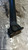 BMW X3 «E83» (2004) CAMBIO E TRASMISSIONE ALBERO TRASMISSIONE ANT. USATO Da 2003 A 2005 [[284332]]