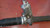 BMW X3 «E83» (2004) STERZO SCATOLA STERZO C/SERVOSTERZO (REVISIONATA) USATO Da 2003 A 2005 [[284340]]