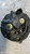 ROVER 25 (2000) IMPIANTO ELETTRICO ALTERNATORE USATO Da 1999 A 2004 [[284692]]