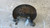 ALFA ROMEO 159 SPORTWAGON (2006) ASSALE FUSELLO RUOTA POST. DX. USATO Da 2006 A 2011 [[284776]]