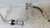 BMW SERIE 1 «F20» BERLINA (2015) TERMICO FLESSIBILE A/C (CONDENSATORE/EVAPORATORE) USATO Da 2015 in poi [[285308]]