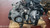 PEUGEOT 2008 «II» (2020) MOTORE MOTORE SEMICOMPLETO USATO Da 2019 A 2023 [[285430]]