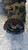 DAIHATSU YRV (2001) CAMBIO E TRASMISSIONE DIFFERENZIALE ANT. USATO Da 2000 in poi [[285760]]