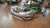 RENAULT ESPACE «V» (2015) LAMIERATI ESTERNI MUSATA - FRONTALE COMPLETO USATO Da 2015 A 2019 [[285872]]