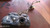 FORD FIESTA «VII» (2017) SCARICO E INIEZIONE SERBATOIO CARBURANTE USATO Da 2017 A 2021 [[285874]]