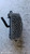 VOLKSWAGEN GOLF «V» (2004) TERMICO RESISTENZA VENTILAZIONE ABITACOLO USATO Da 2005 A 2008 [[286043]]