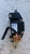 VOLKSWAGEN GOLF «V» (2004) TERMICO RESISTENZA VENTILAZIONE ABITACOLO USATO Da 2005 A 2008 [[286043]]