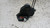 TOYOTA AYGO «II» (2014) LAMIERATI ESTERNI SERRATURA PORTA POST. DX. USATO Da 2014 A 2018 [[286209]]