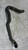 NISSAN MICRA «III» (2003) TERMICO MANICOTTO RADIATORE INF. USATO Da 2003 A 2005 [[286320]]