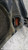 OPEL ASTRA «H» (2005) FANALERIA PROIETTORE ANT. SX. USATO Da 2007 A 2009 [[286557]]