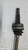 NISSAN QASHQAI «I» (2007) CAMBIO E TRASMISSIONE SEMIASSE POST. DX. USATO Da 2006 A 2010 [[286664]]