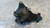 NISSAN QASHQAI «I» (2007) CAMBIO E TRASMISSIONE DIFFERENZIALE ANT. USATO Da 2006 A 2010 [[286693]]